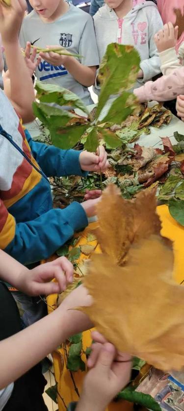 Uczniowie tworzą własne drzewo z kolorowych liści
