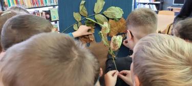 Uczniowie tworzą własne drzewo z kolorowych liści